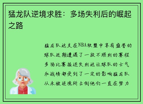 猛龙队逆境求胜：多场失利后的崛起之路
