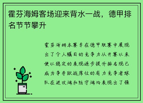 霍芬海姆客场迎来背水一战，德甲排名节节攀升