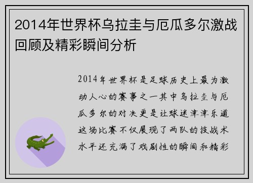 2014年世界杯乌拉圭与厄瓜多尔激战回顾及精彩瞬间分析
